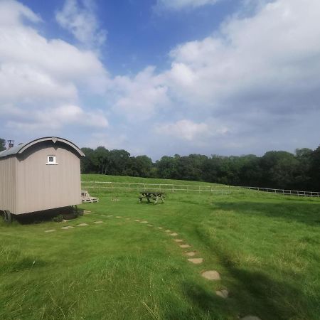 Molly Dishwasher Shepherds Hut Frant Экстерьер фото