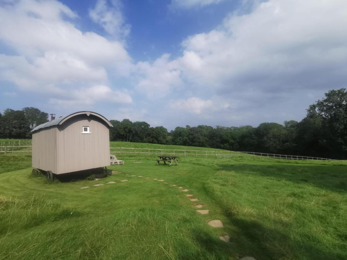 Molly Dishwasher Shepherds Hut Frant Экстерьер фото
