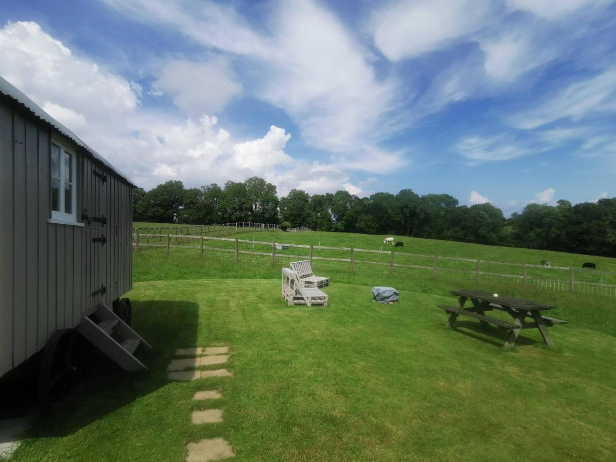 Molly Dishwasher Shepherds Hut Frant Экстерьер фото
